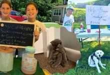 Lemonade stand fundraiser Blackstone MA - kids