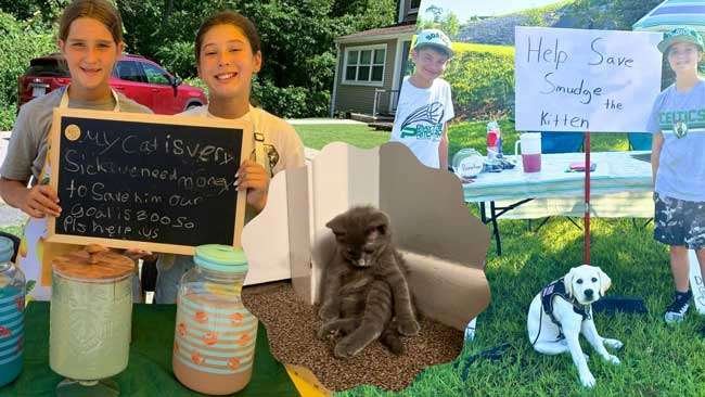 Lemonade stand fundraiser Blackstone MA - kids