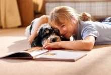 Wag and Read Blackstone Public Library